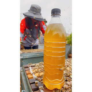 Mật Ong Hoa Vải Bắc Giang 1000ml