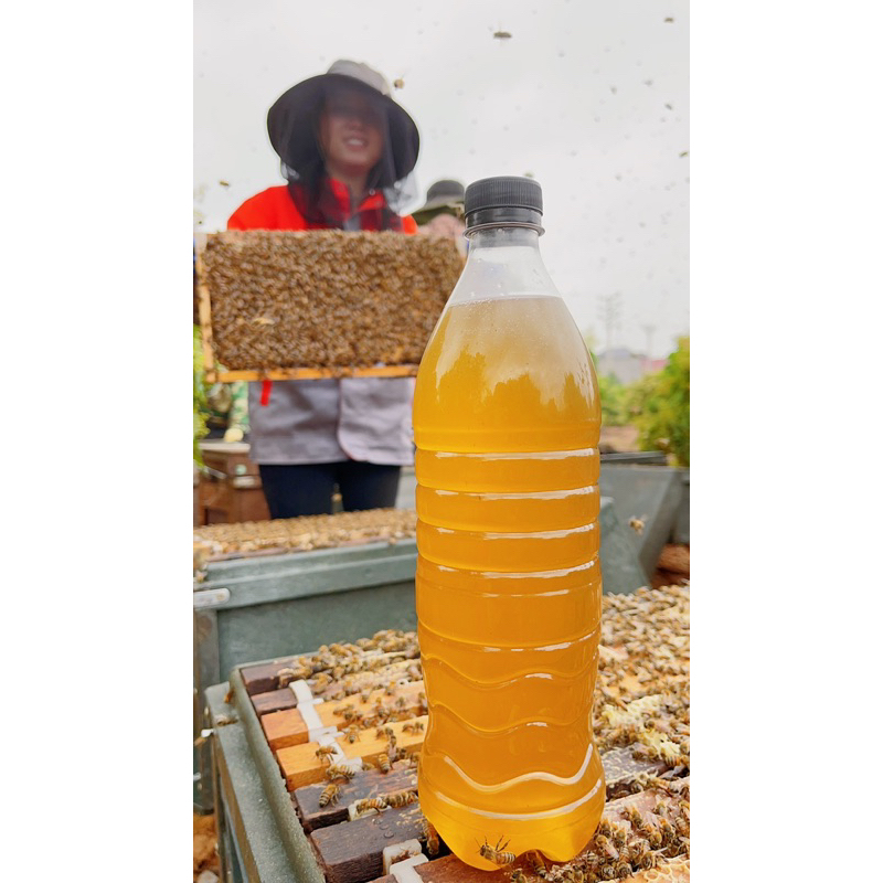 Mật Ong Hoa Vải Bắc Giang 1000ml