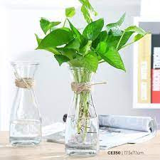 5 Ly thủy tinh ly sinh tố 350ml