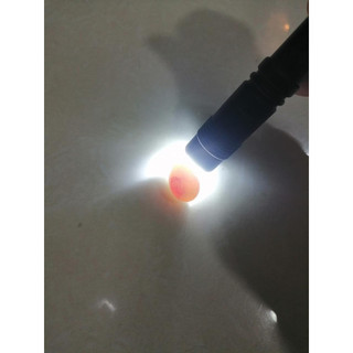 Đèn pin mini siêu sáng dùng soi trứng