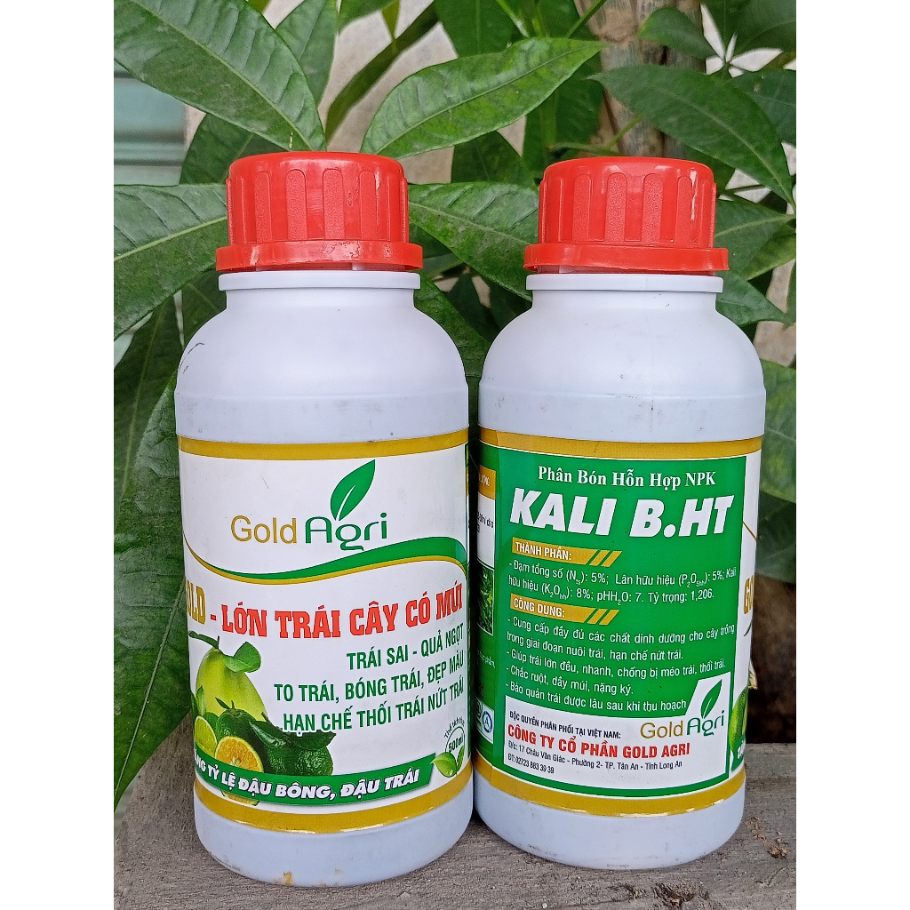 LỚN TRÁI CÂY CÓ MÚI chai 500ml pha 500L. Trái sai, quả ngọt, to trái, bóng trái, đẹp màu. Hạn chế nứt trái, thối trái