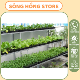 (FREESHIP - Xả Hàng) Máng nhựa dài trồng rau, trồng hoa 50x40x10 cm