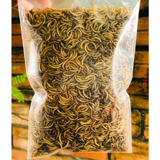 Sâu Gạo sấy khô, thức ăn yêu thích cho Hamster, chim, gà đá, cá cảnh, sóc, nhím