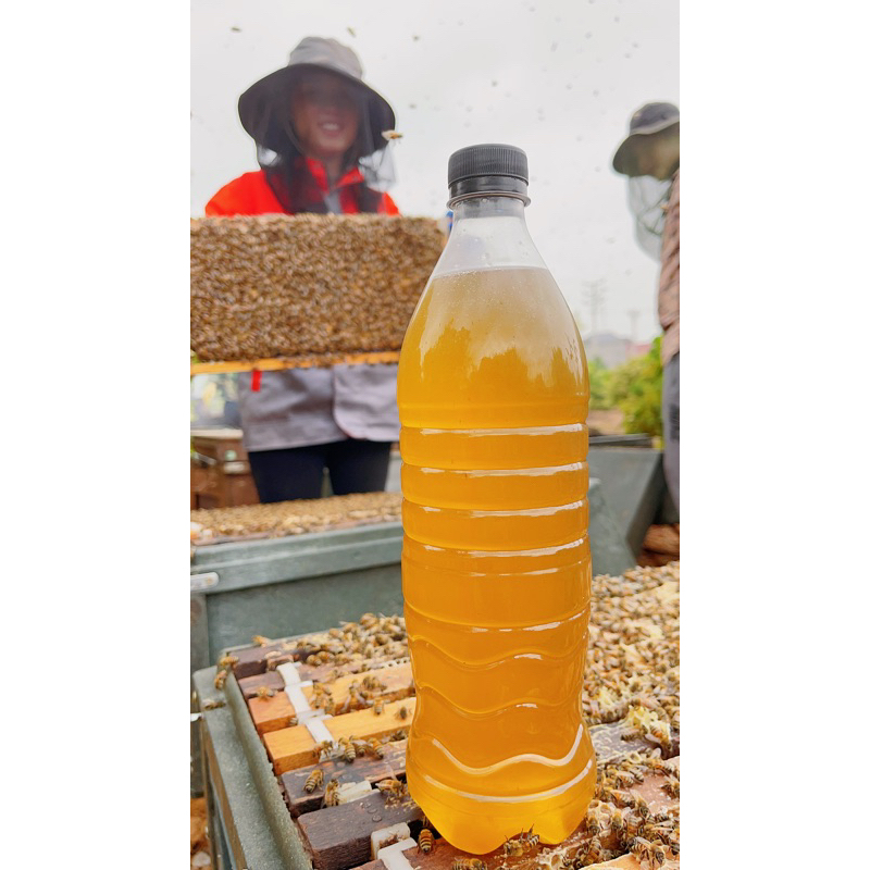 Mật Ong Hoa Vải Bắc Giang 1 Lít