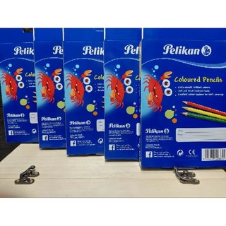 Bút chì màu Pelikan , 24 màu cao cấp.
