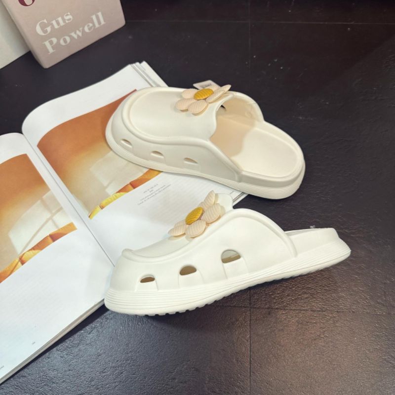 👉👉👉Sục hoa cúc