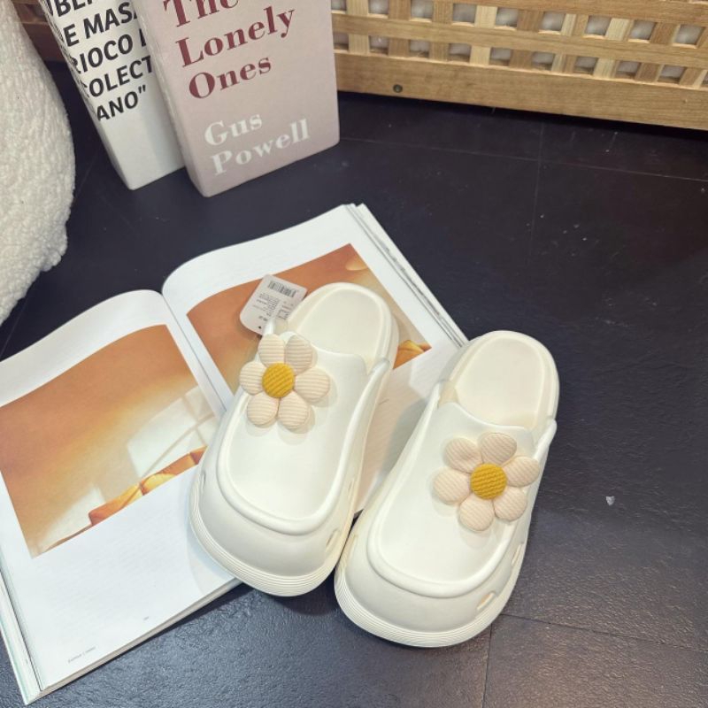 👉👉👉Sục hoa cúc