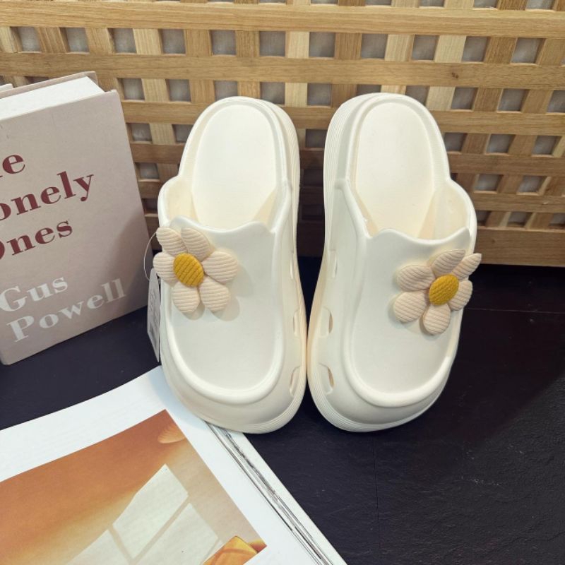 👉👉👉Sục hoa cúc