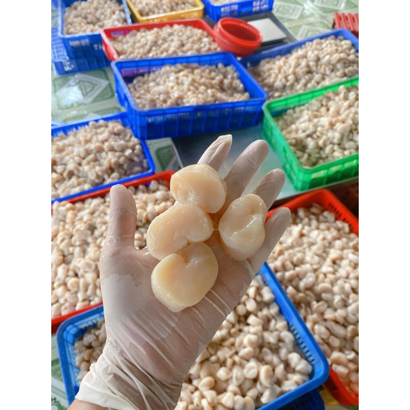 CỒI SÒ MAI: 175k/500g