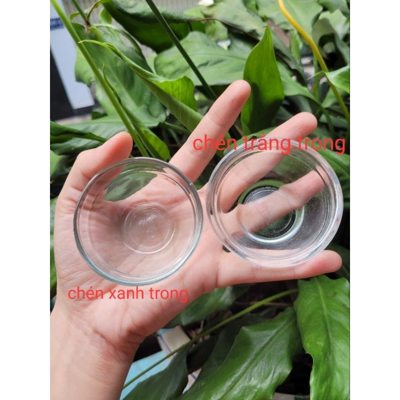 Miniature - Chén thủy tinh cho bếp nấu ăn mini nhiều size