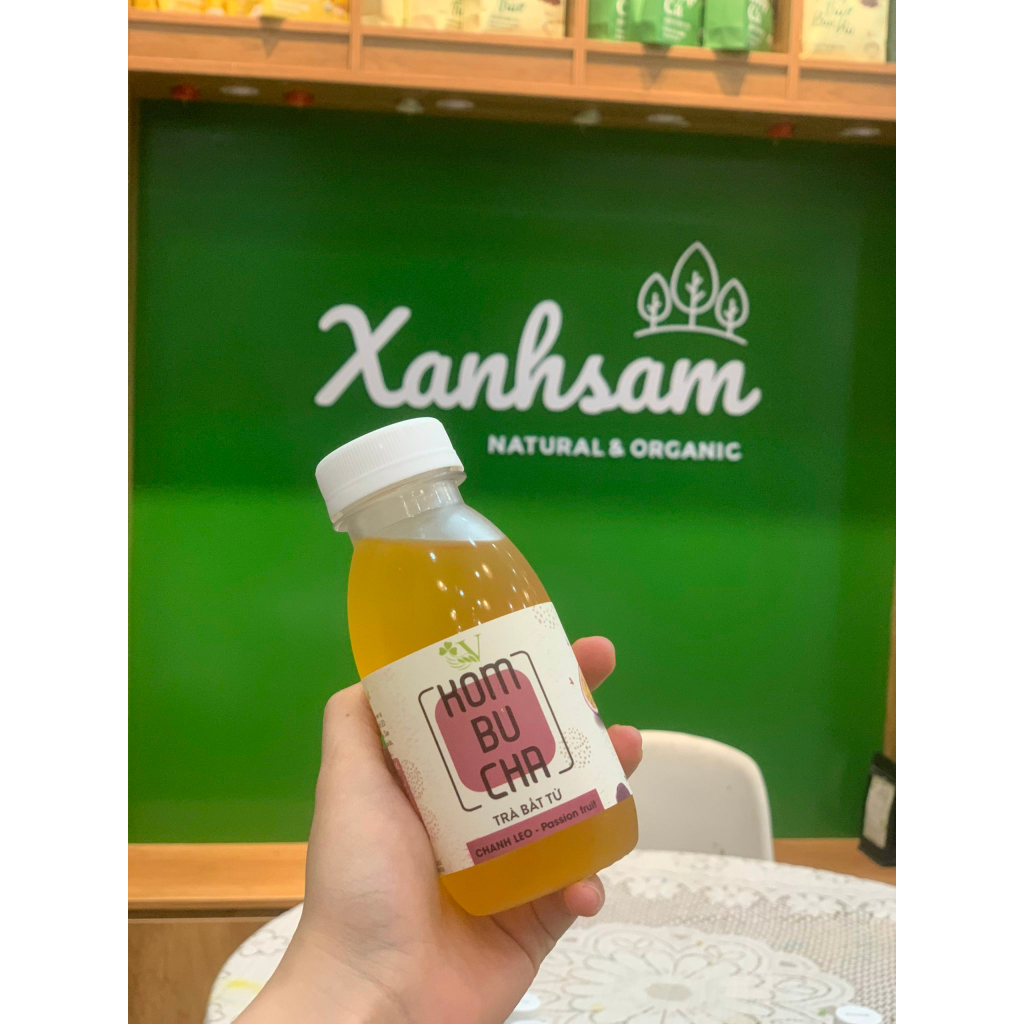 Trà Kombucha Bất Tử Vgreen - Xanh Sam Organic