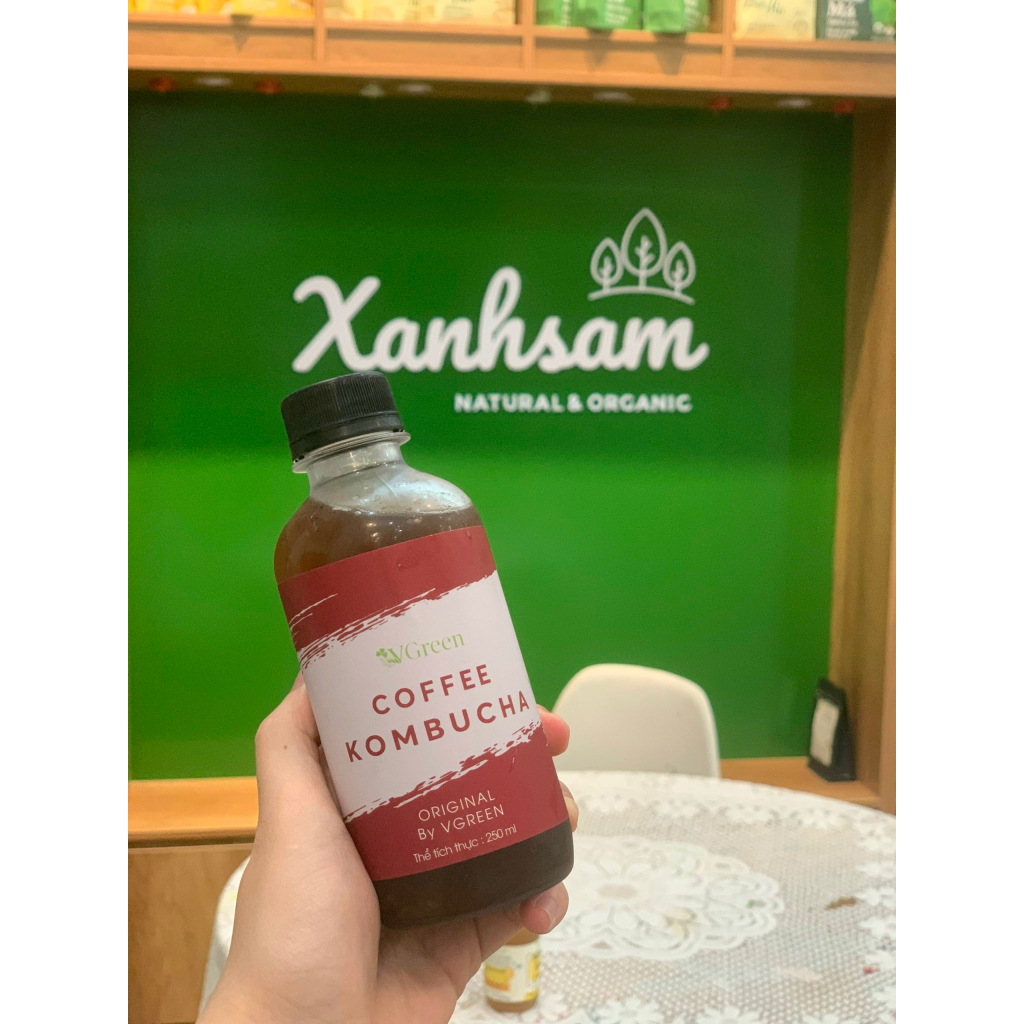 Trà Kombucha Bất Tử Vgreen - Xanh Sam Organic