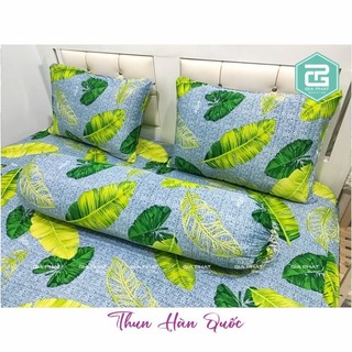 Áo gối ôm 35*100cm thun Hàn Quốc (được chọn mẫu)