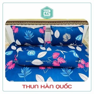 Áo gối ôm 35*100cm thun Hàn Quốc (được chọn mẫu)