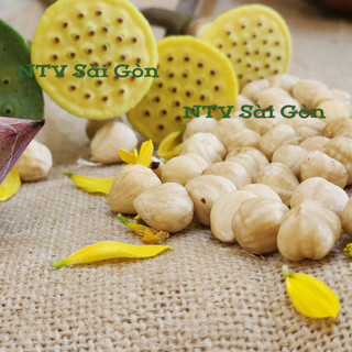 NHÂN HẠT PHỈ NTV - Hazenut - Hạt sấy khô thơm ngon