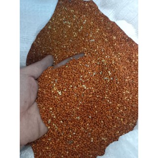 1 kí hạt kê đỏ loại ngon, hạt to, bóng