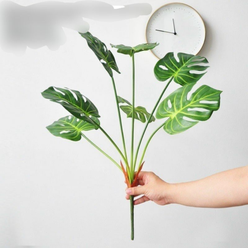 Cây giả Cây Trầu Bà- Trầu Bà Thanh Xuân - cây lá rùa phong thủy cao 70cm _trang trí nhà cửa