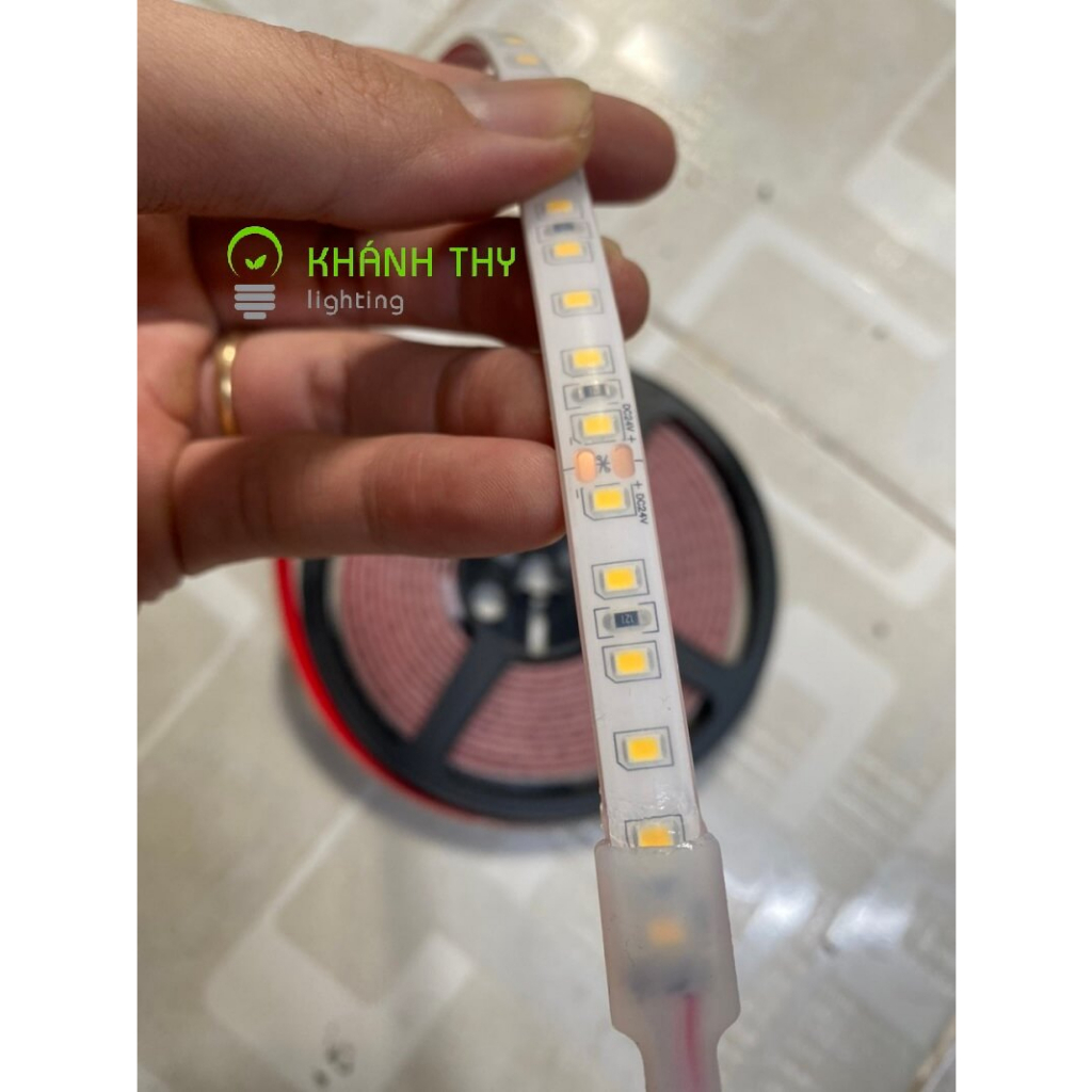 Led dây 12v chống nước ngoài trời cao cấp 2835