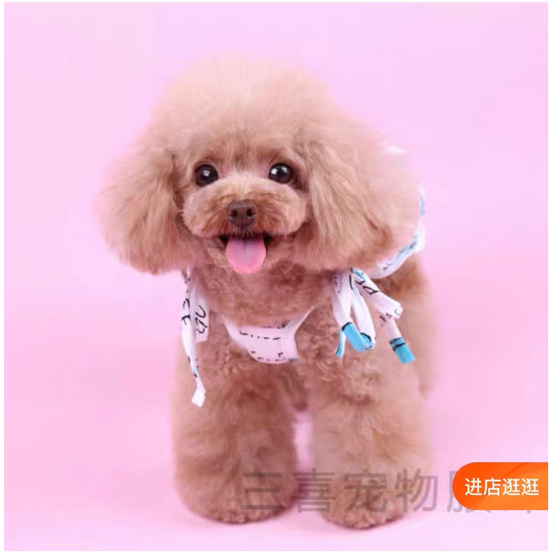 Đầm hè thú cưng chó mèo 2023