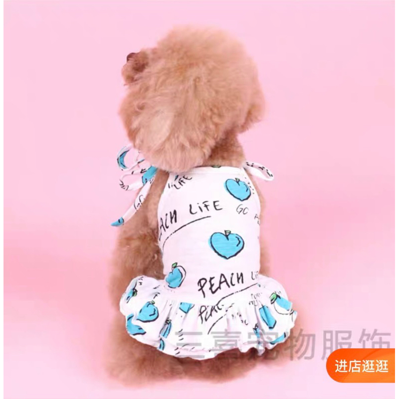 Đầm hè thú cưng chó mèo 2023