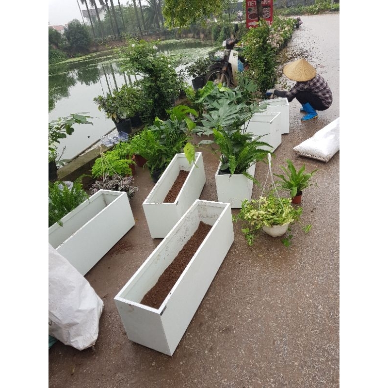 Chậu 100x25x30 Trắng không kẻ chân liền hoặc chìm Composite cao cấp LAM KINH
