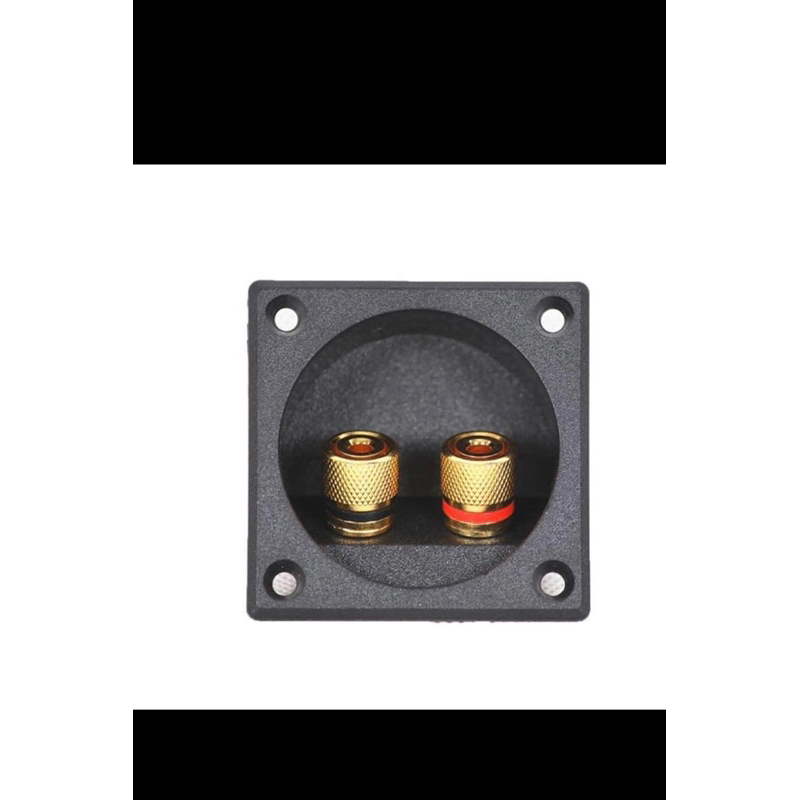 Hậu loa-trạm loa