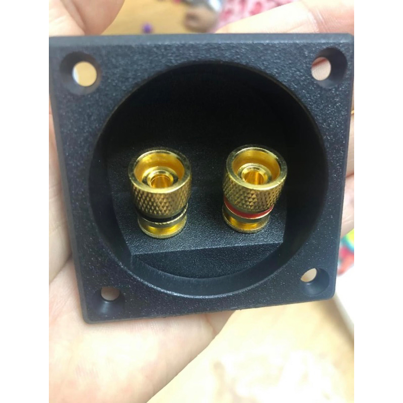 Hậu loa-trạm loa