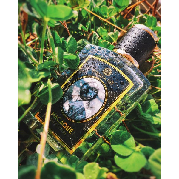 Nước hoa Zoologist Macaque Yuzu