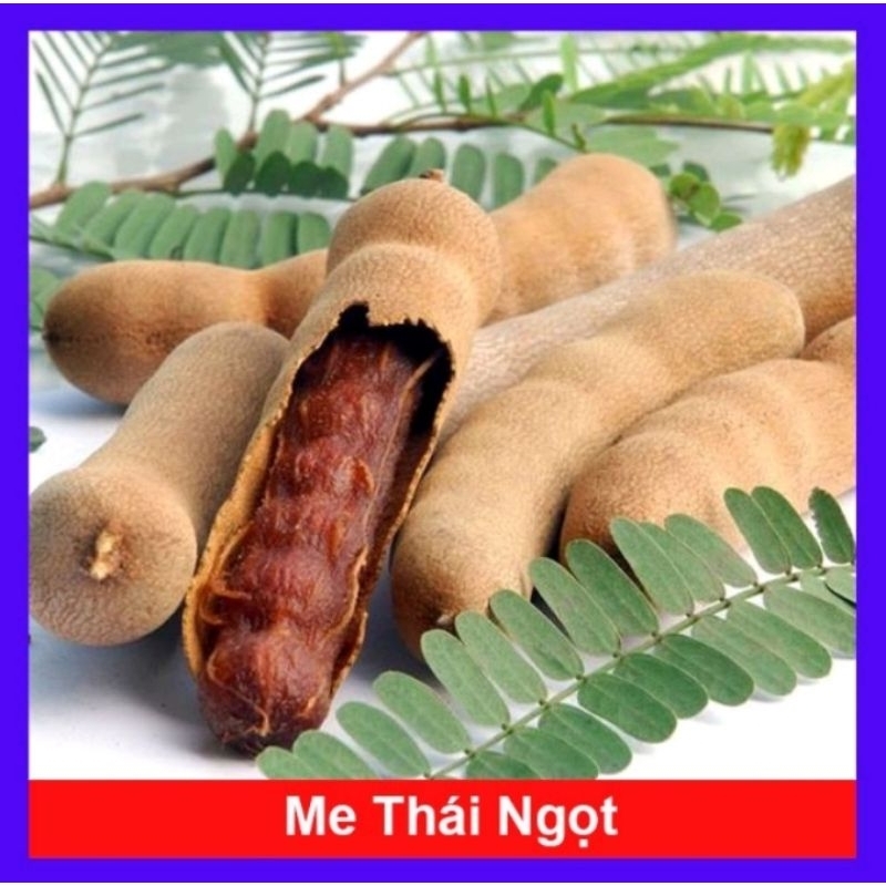 1Kg Me Thái Sấy Khô - Me ngon ngọt, mật nhiều