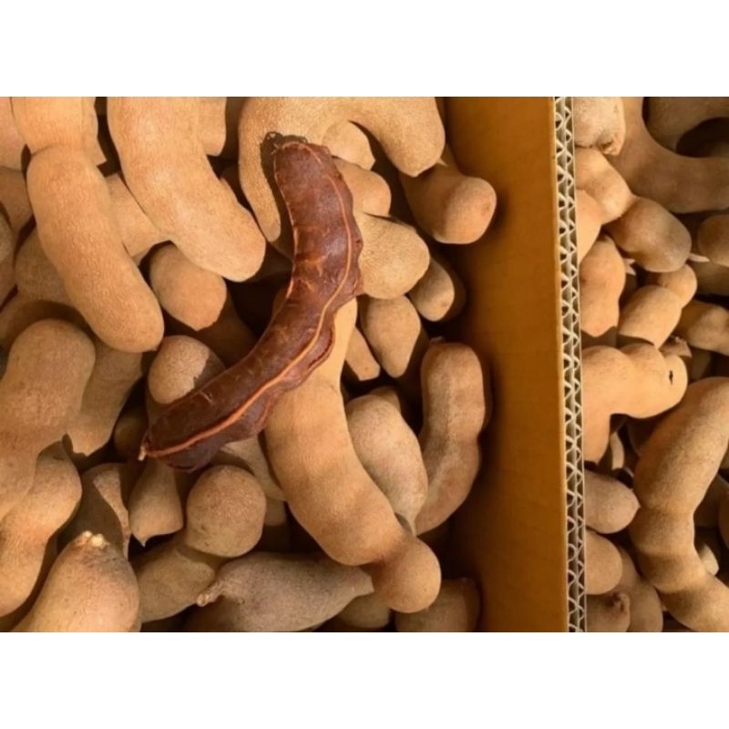 1Kg Me Thái Sấy Khô - Me ngon ngọt, mật nhiều