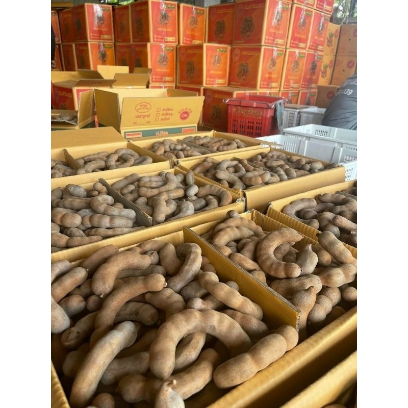 1Kg Me Thái Sấy Khô - Me ngon ngọt, mật nhiều