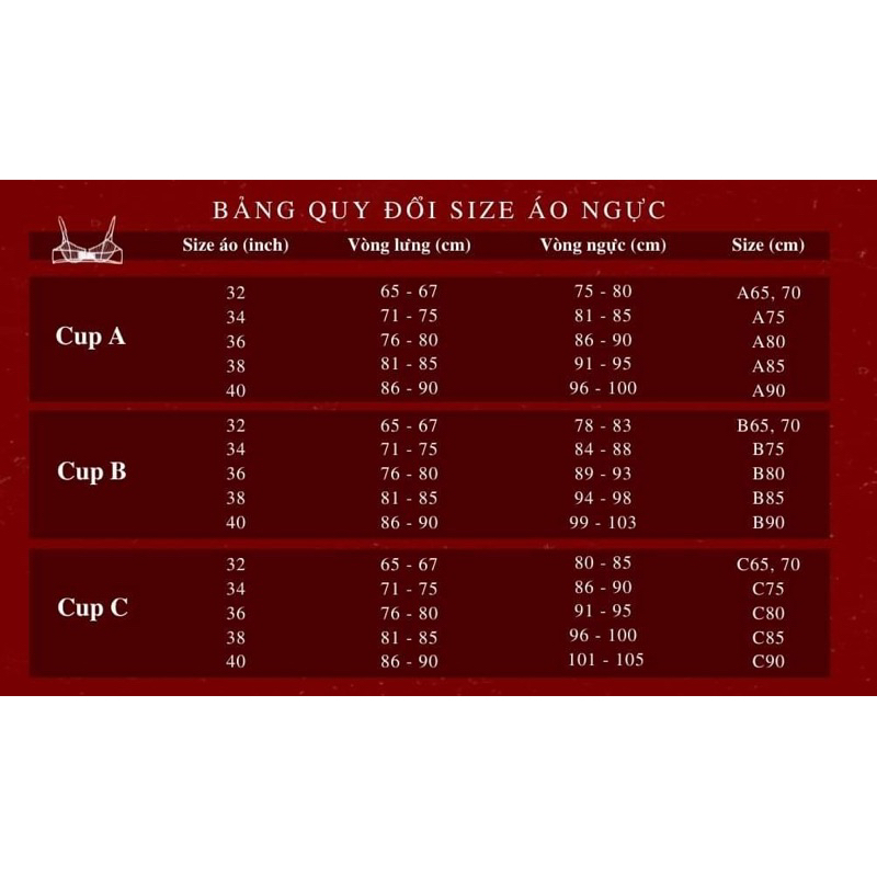 Áo ngực nữ cao cấp Vic T-shirt pushup nâng siêu mềm êm ái cho nữ ngực to