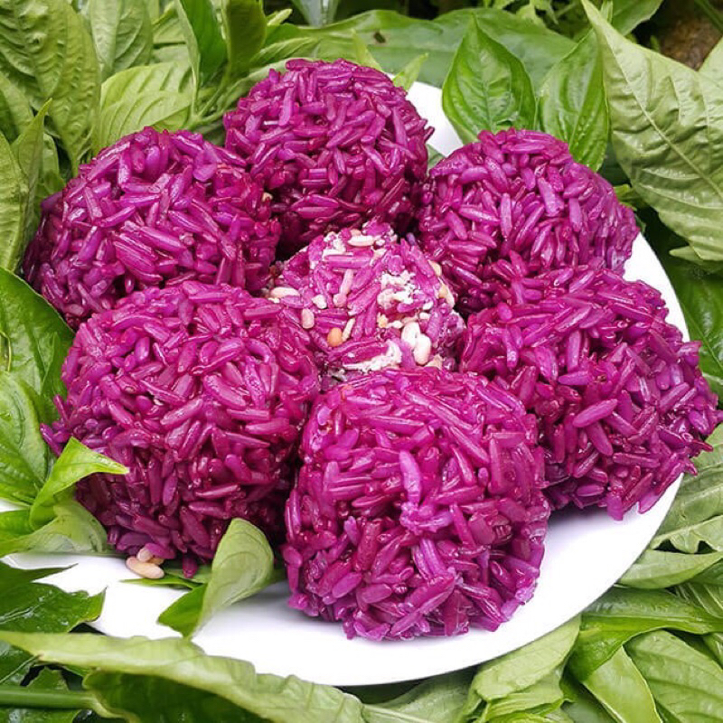Cây giống Cẩm đỏ Cẩm tím đậu biếc kép mua 10 cây tặng thêm 1 cây