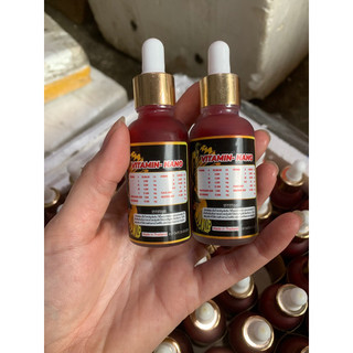 Vitamin nano chim cảnh