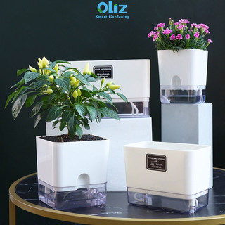 Chậu cây để bàn Oliz G2 - Chậu trồng cây mini có chức năng tự tưới nước cho cây