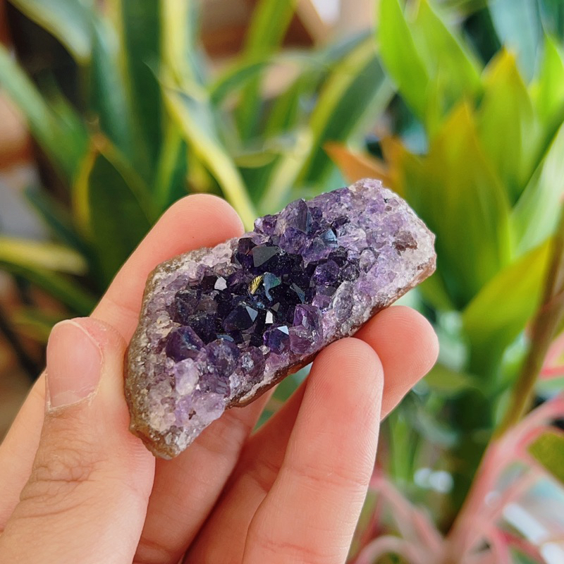 Amethyst Cluster