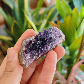 Amethyst Cluster
