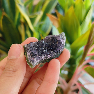 Amethyst Cluster