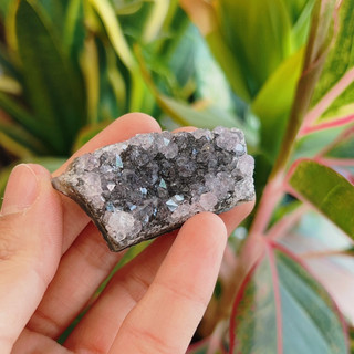 Amethyst Cluster