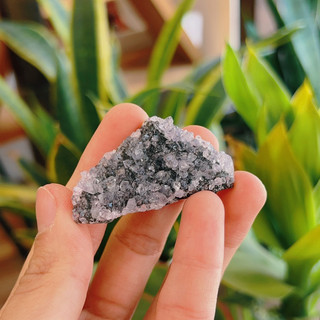 Amethyst Cluster