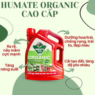 Humate organic cao cấp - phân bón vi lượng chuyên tưới gốc, hữu cơ đậm đặc làm dai cuống nụ, trụ trái non