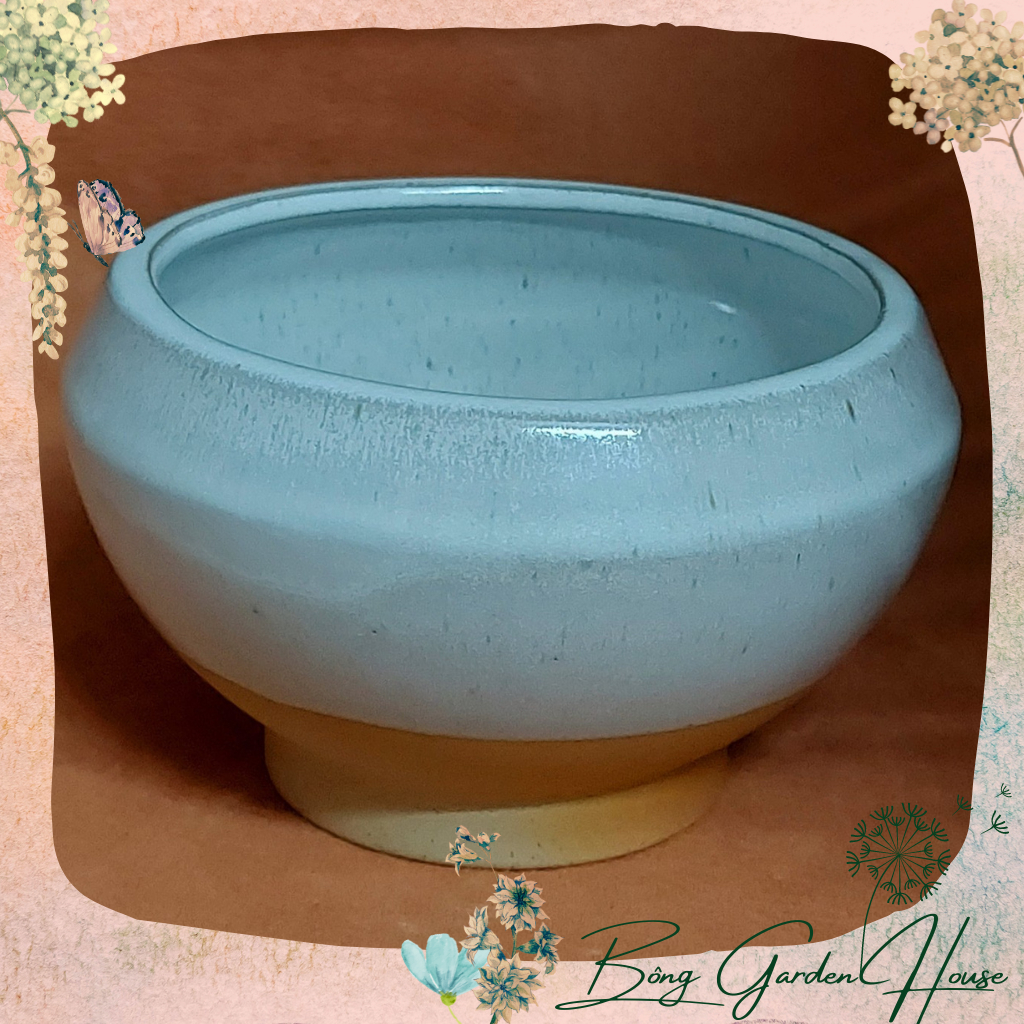 Chậu trồng cây, Chậu men tròn bầu trắng có đế trồng cây cảnh sen đá xương rồng Bông Garden kt M 11cm , R 14cm, C 8cm