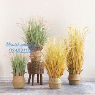 Cành Cỏ Lau giả - cành cỏ lau đuôi chồn 5 nhánh-trang trí nhà cửa trang trí sự kiện.
