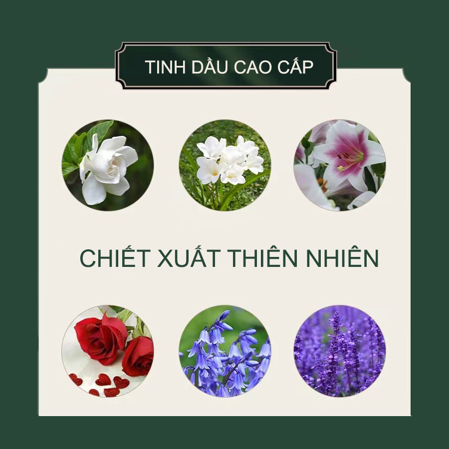 Tinh dầu nước hoa hàng cao cấp chuyên dụng cho xe hơi , xe ô tô lọ 15ml - Tinh dầu nước hoa đầu chó pitbull ,bulldog | BigBuy360 - bigbuy360.vn