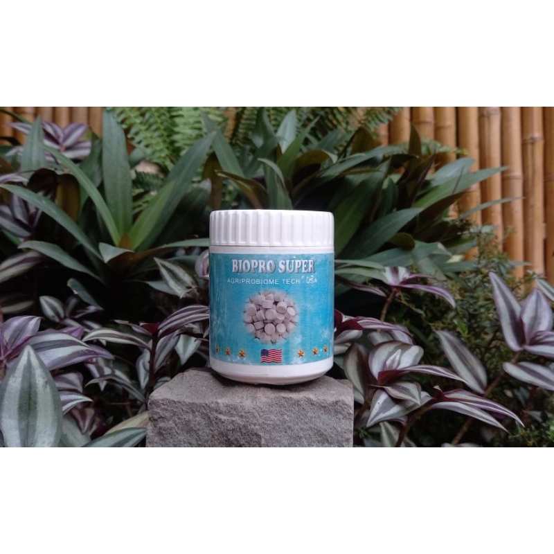 Vi sinh hồ koi Biopro Super