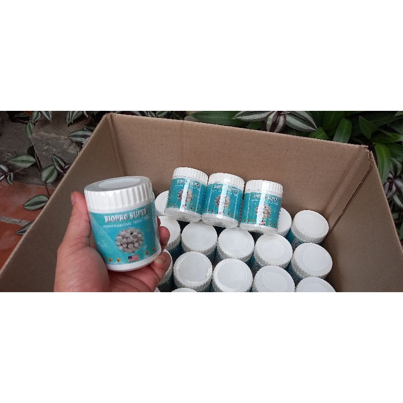 Vi sinh hồ koi Biopro Super