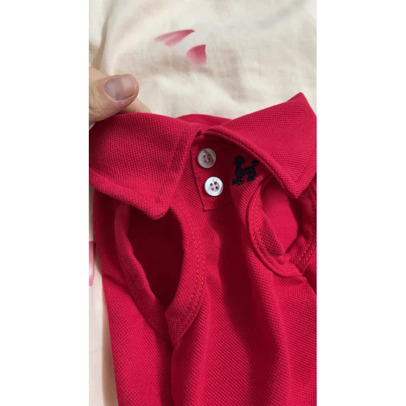 Áo polo cộc tay thoáng mát cho thú cưng, áo chó mèo