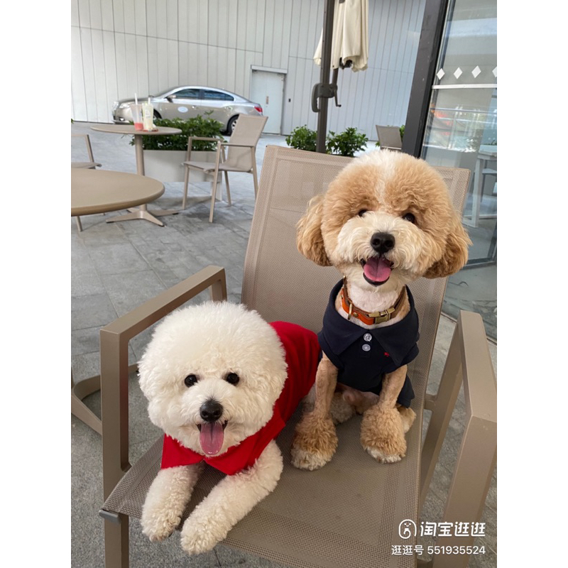 Áo polo cộc tay thoáng mát cho thú cưng, áo chó mèo