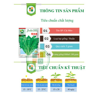 Hạt giống rau cải mèo