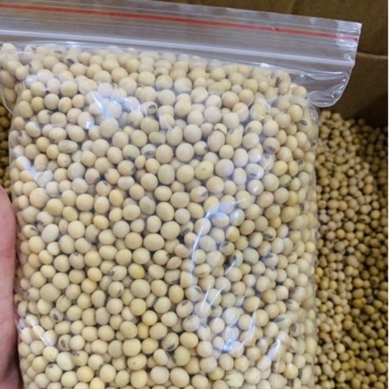 ĐỖ TƯƠNG, ĐẬU NÀNH hàng loại to - loại 1